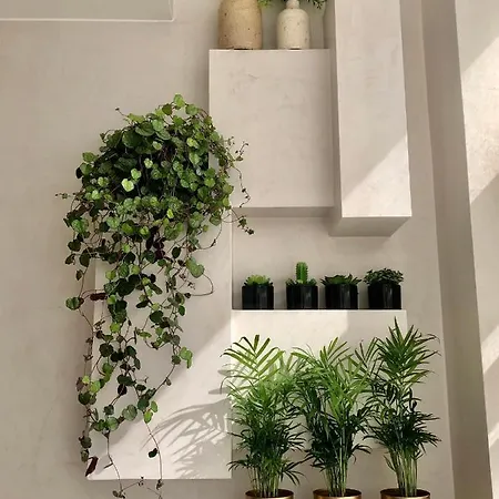 T1 No Centro Te-u 토레스베드라스